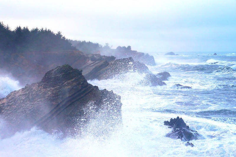 storm_shore_acres