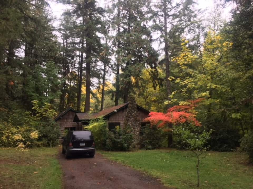 Cabin near Eugene Oregon Cottage Grove airbnb