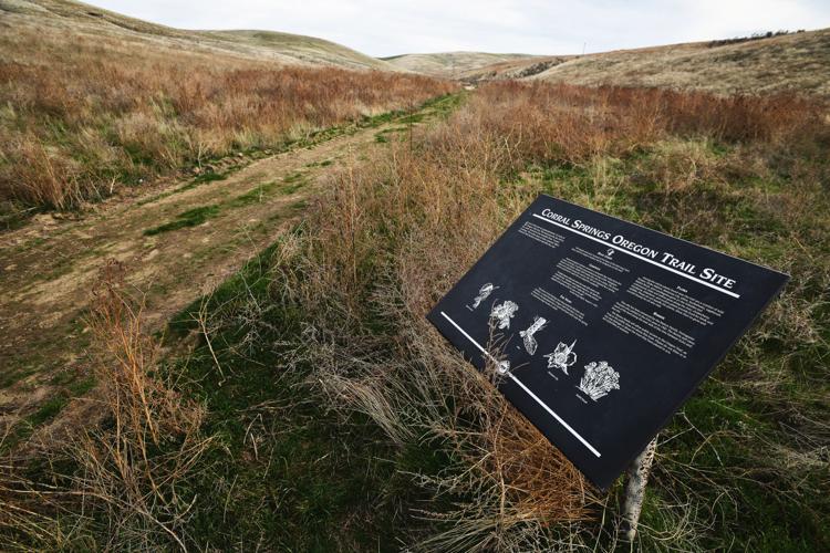 corral springs oregon trail site echo