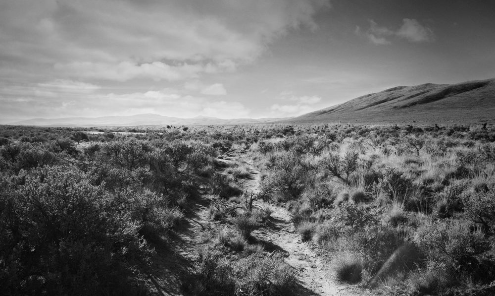 oregon trail wagon ruts baker city