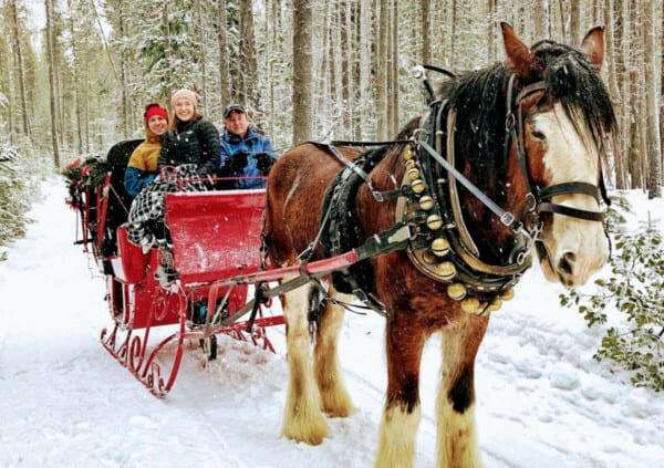 Oregon Sleigh Rides Odell Lake