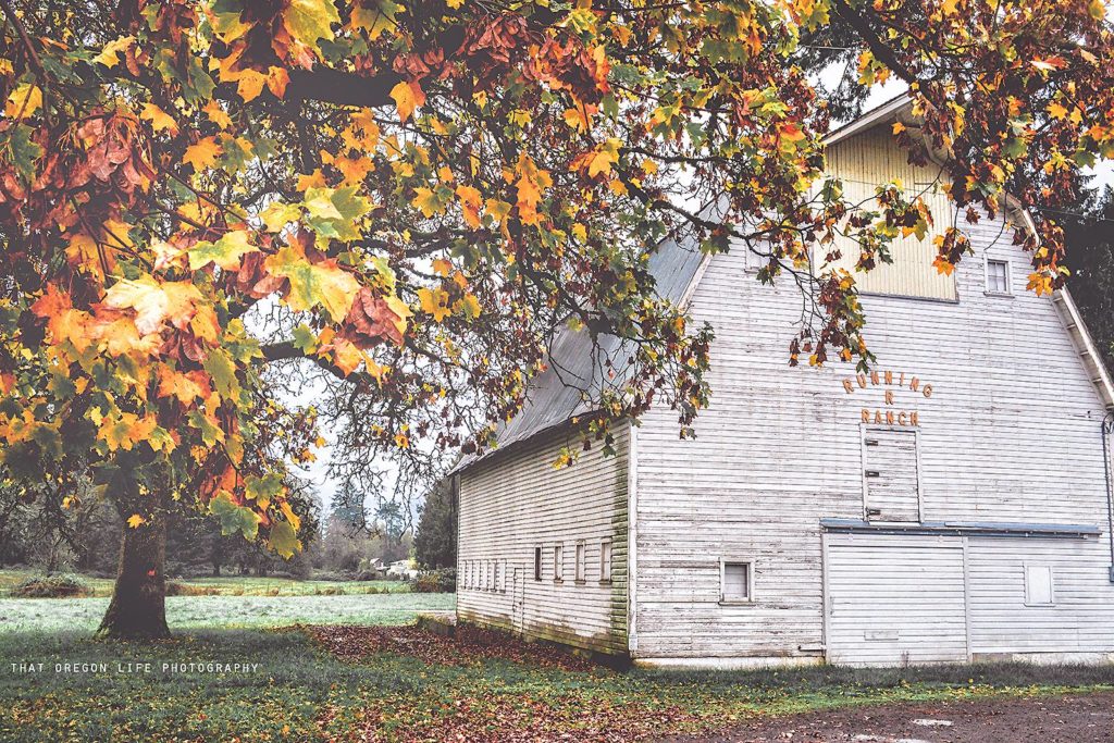Old barn on Highbanks Rd, Springfield, Oregon