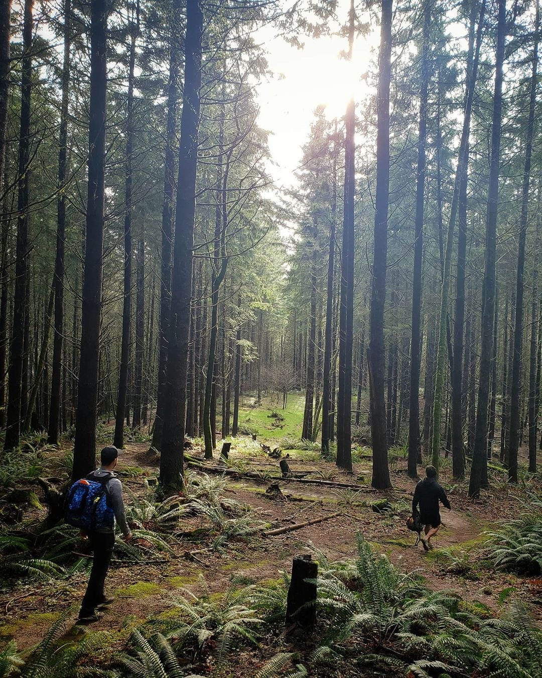 best camping in oregon