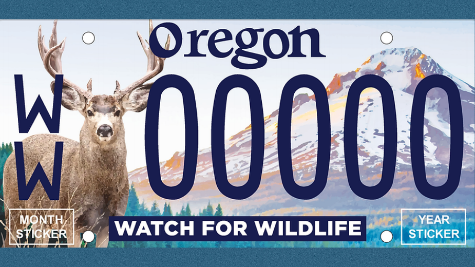 watch for wildlife license plate watch for wildlife license plate