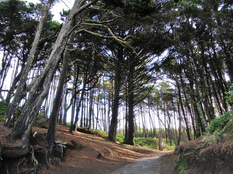 The Best Things To Do In Gorgeous Gleneden Beach Oregon This Year