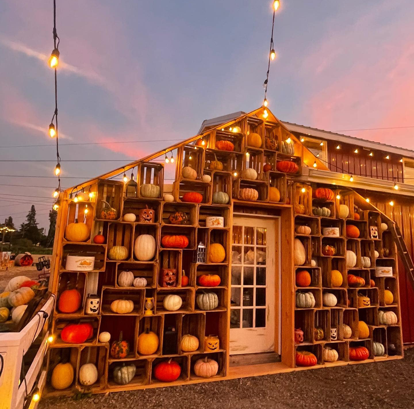 This Adorable Fall Store And Pumpkin Patch In Wilsonville Is Now Open