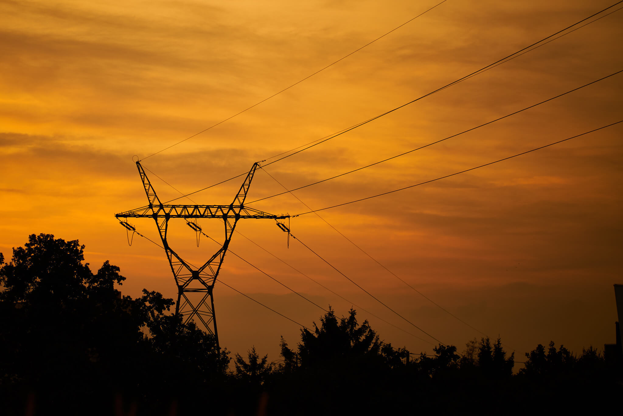 48755830892_9d0541014b_k Powerline silhouette during sunset