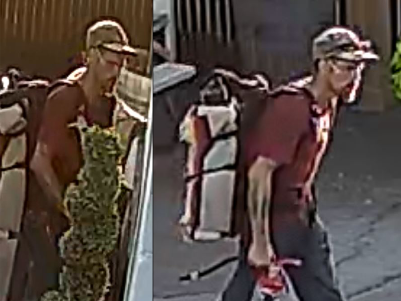 suspect-3