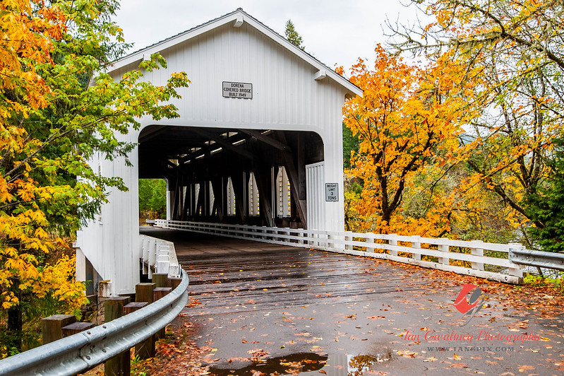 Yellow and orange leaves next to the white Dorena covered bridge in fall with fall leaves on the road.