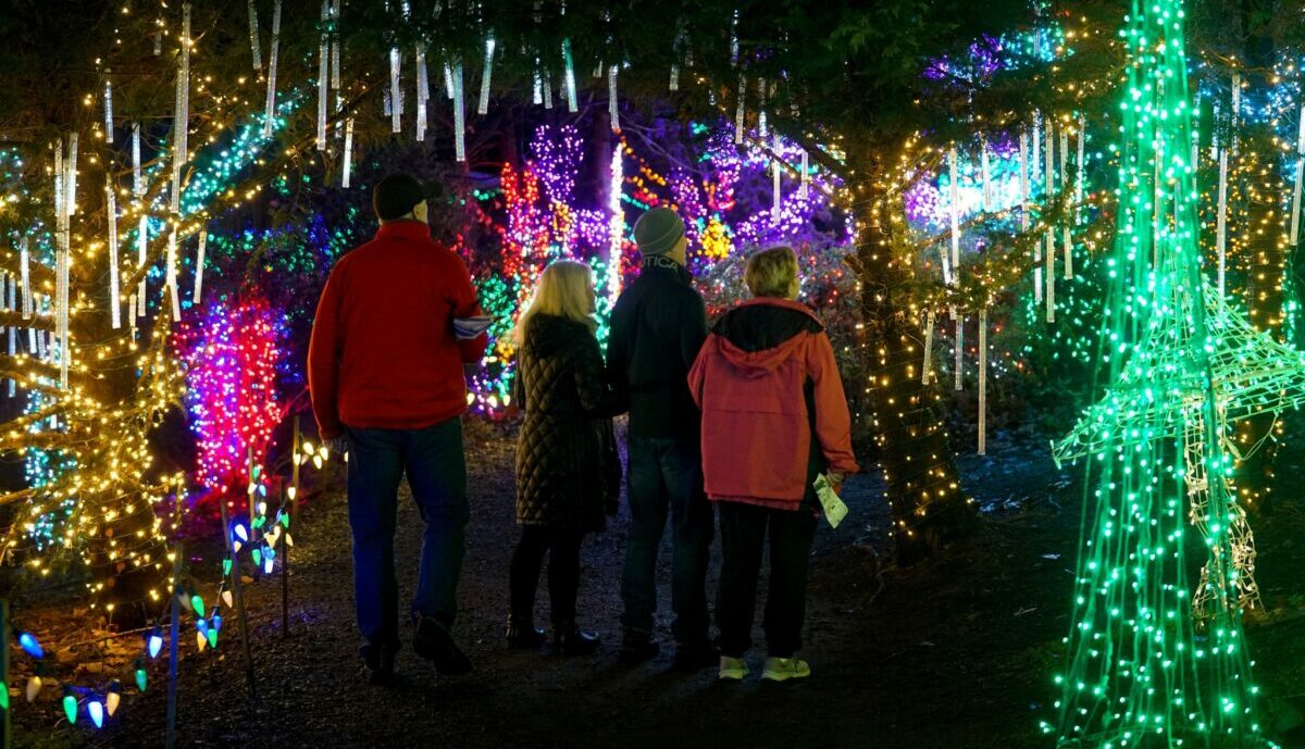 silverton christmas market 2022 silverton christmas market 2022