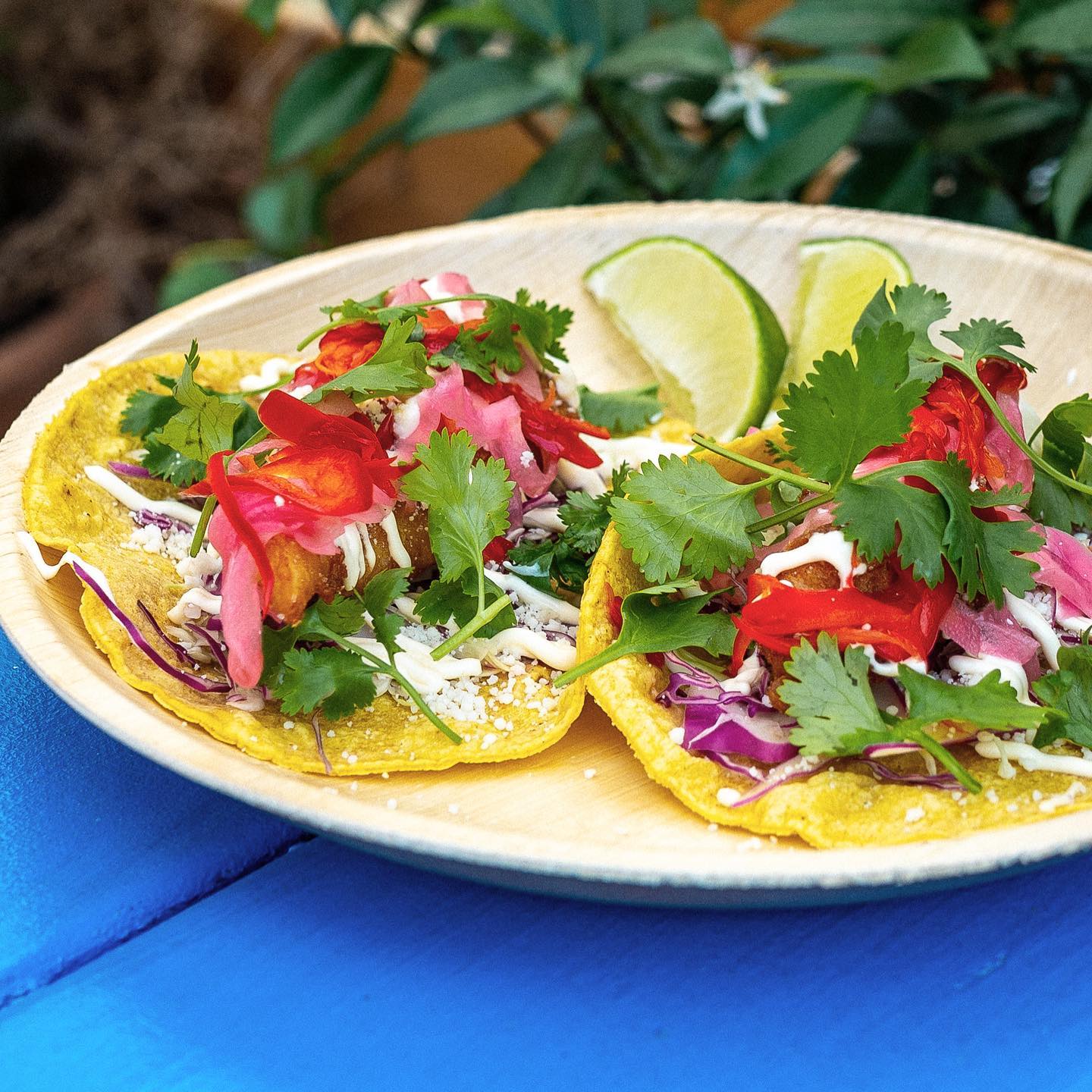 Oregon rock fish tacos with pickled onion, fresno chili and Cotija.