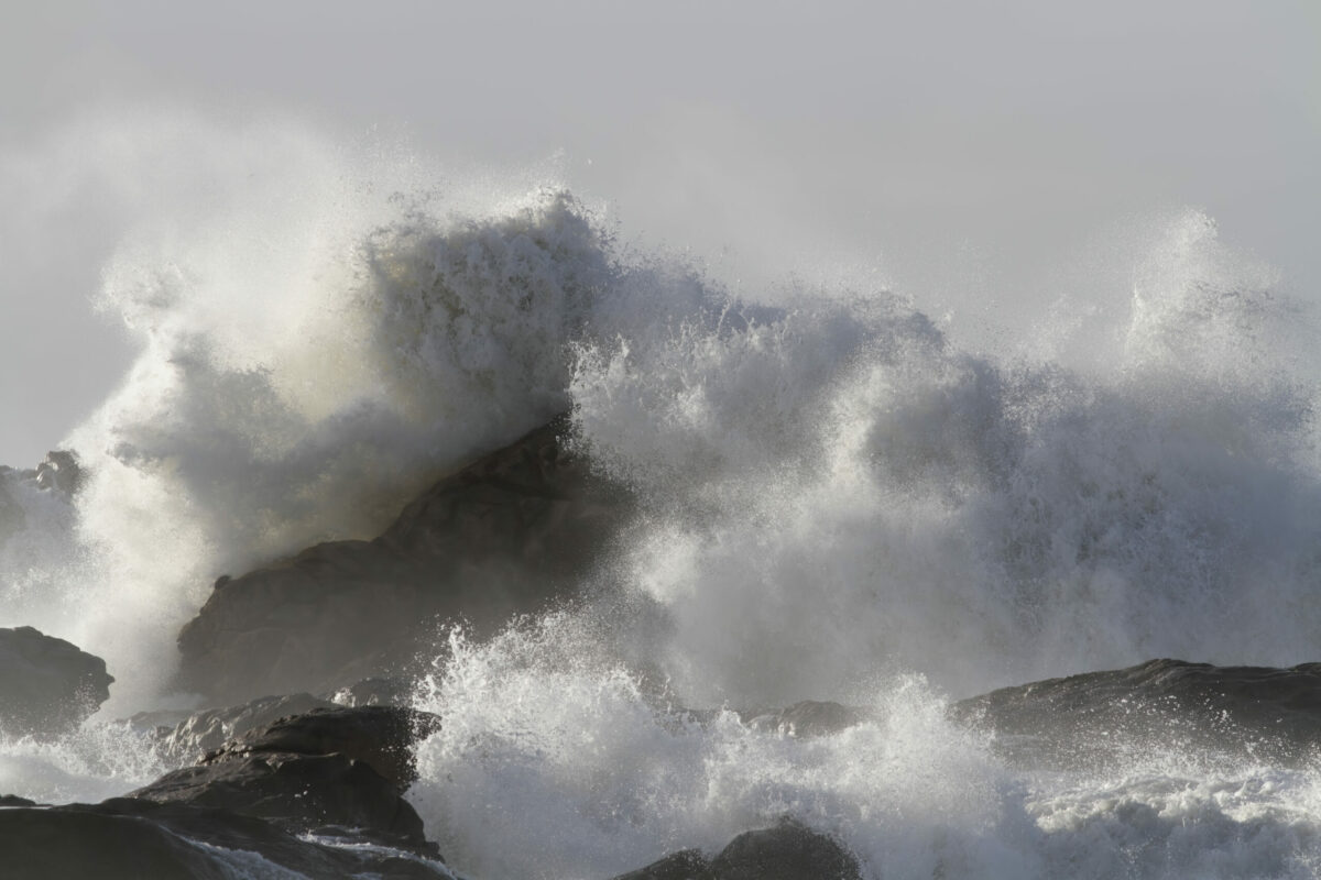 ENV Waves Coastal waves