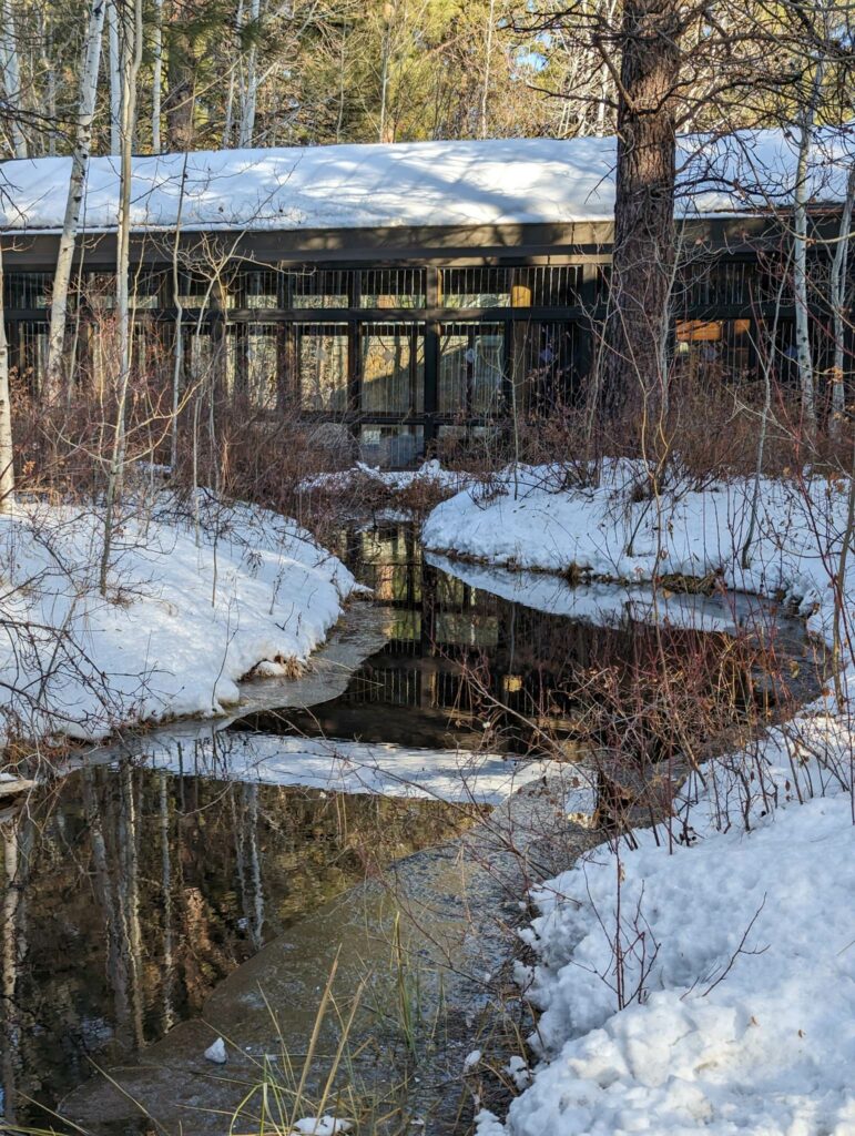 A stream runs in front of the High Desert Museum. There is snow on the ground and the trees have lost all of their leaves.