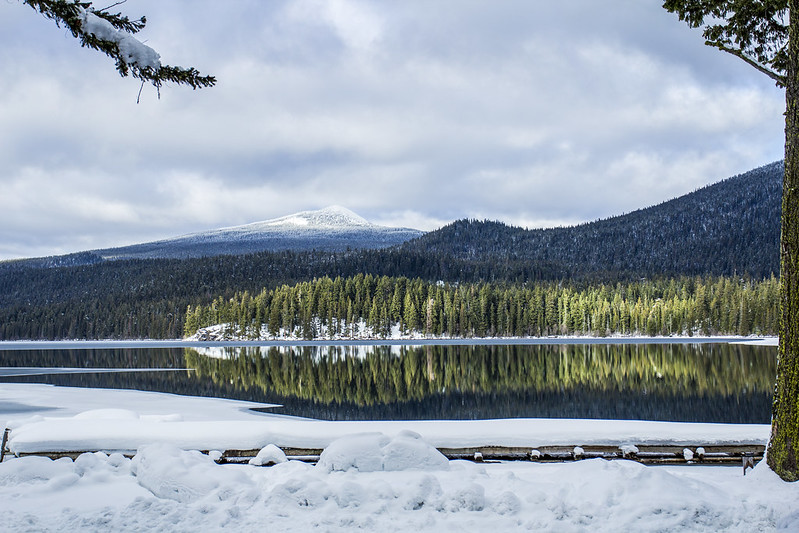 Odell Lake in the winter. White snow, and green pine trees reflect in the still waters of the lake on a cloudy day.