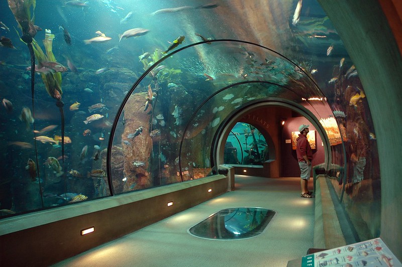 Oregon’s Top 12 Zoos and Aquariums: Uncover the Wonders of Wildlife