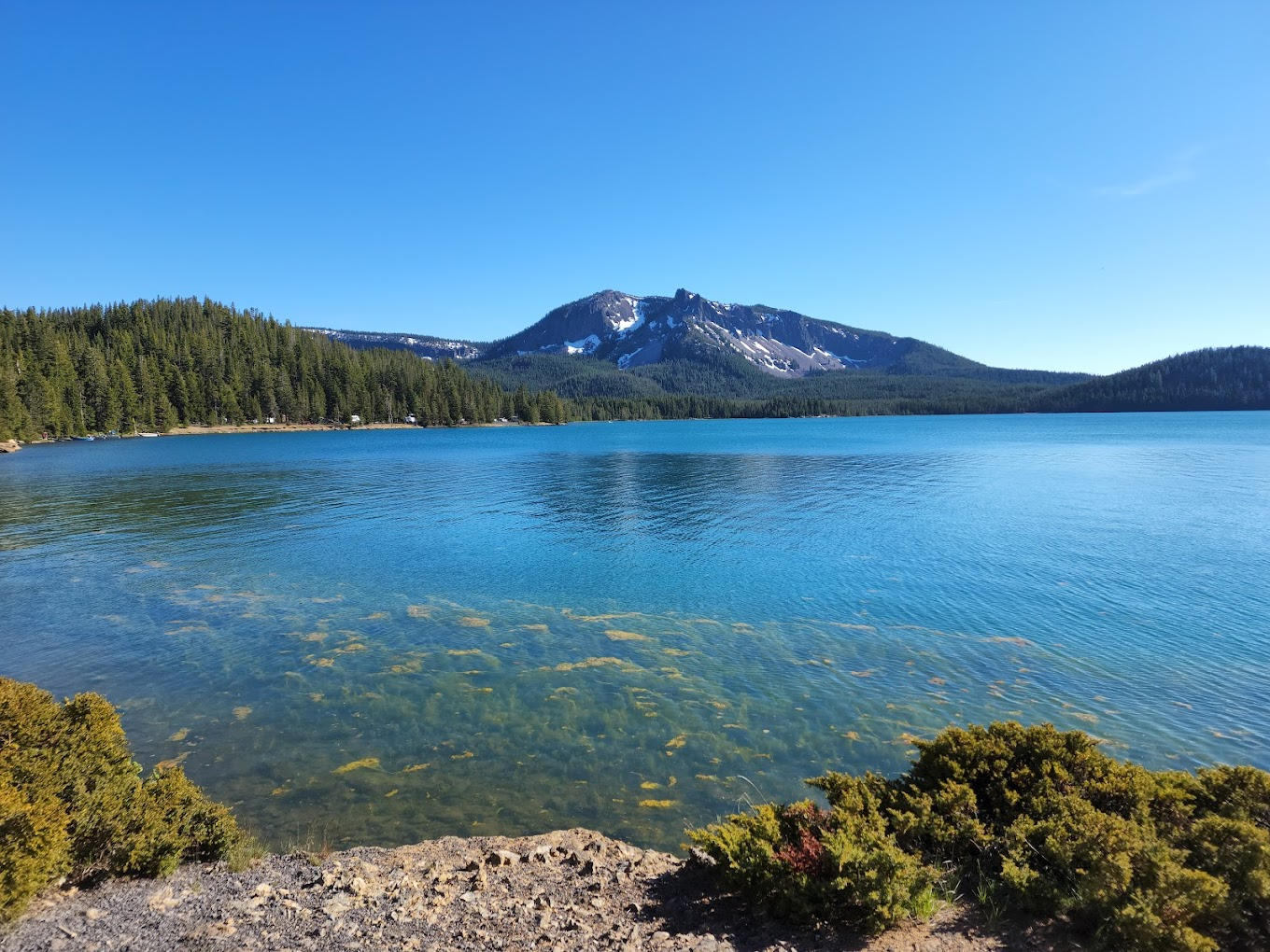Paulina Lake photo by Max M. via Google Local