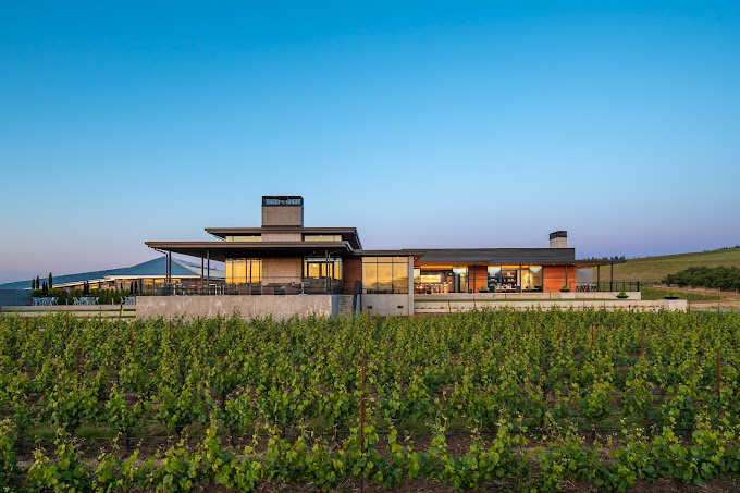ponzi vineyards