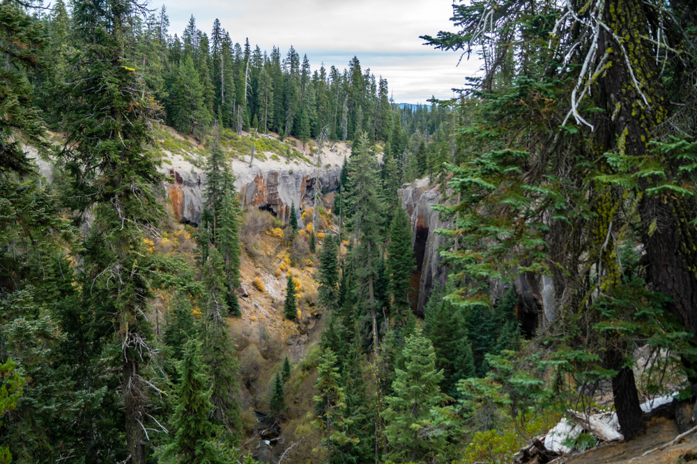 best hikes in crater, old growth forest