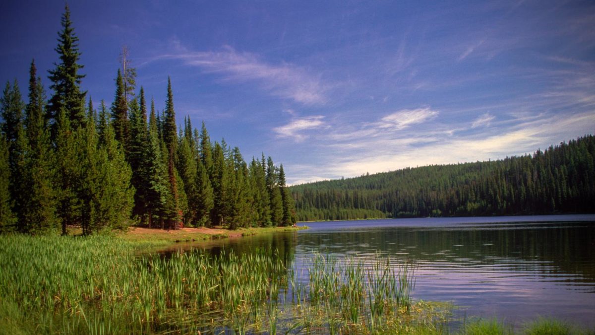 best camping in oregon