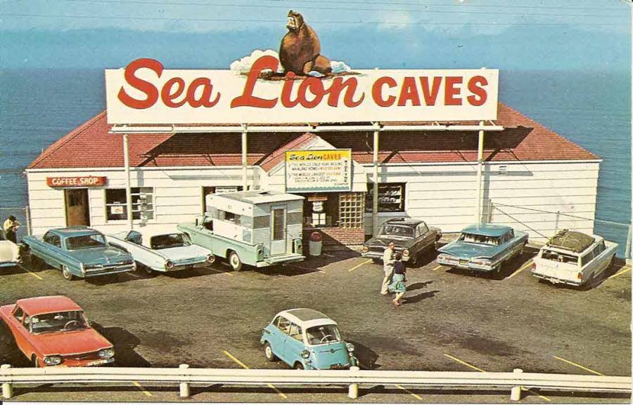 Exploring the Majestic Sea Lion Caves of Oregon