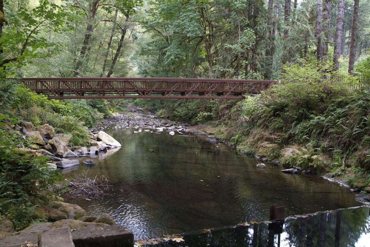 best camping in oregon