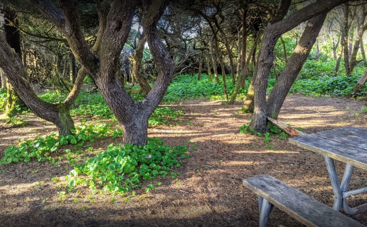 best camping in oregon