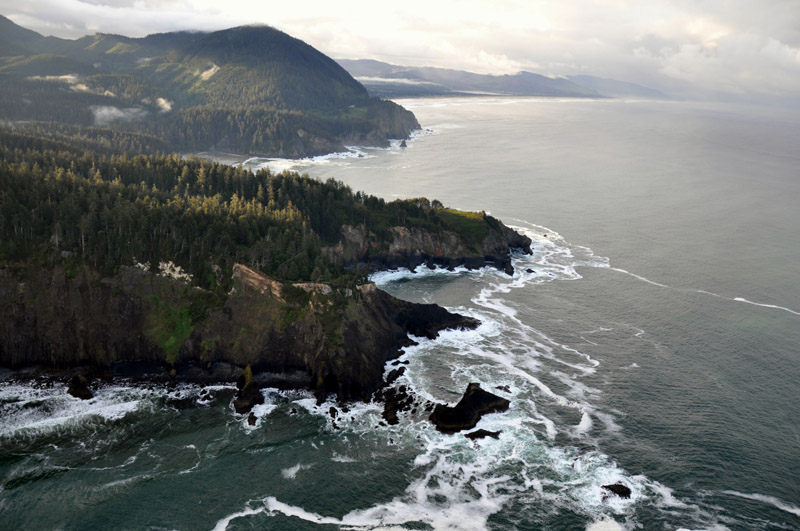 2024 Hiking Guide to Oregon’s Cape Falcon Trail