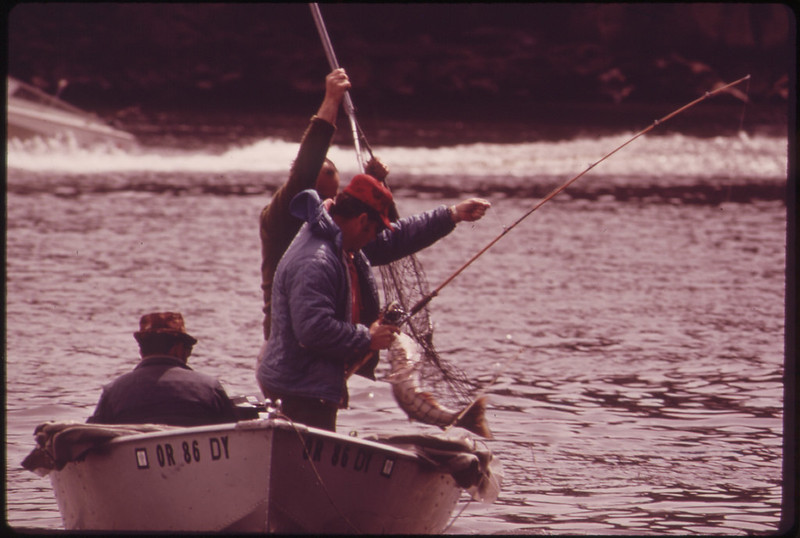 angling license
