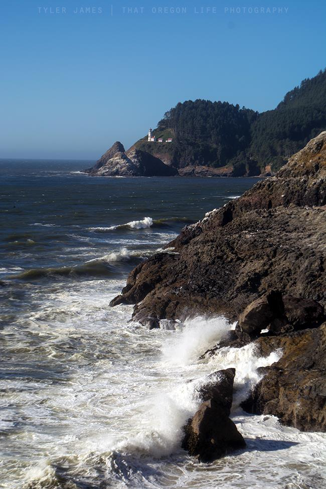 heceta head lighthouse