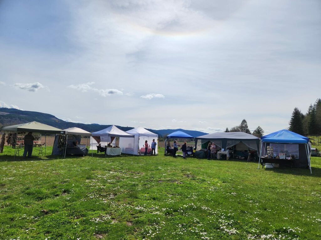 walterville saturday market