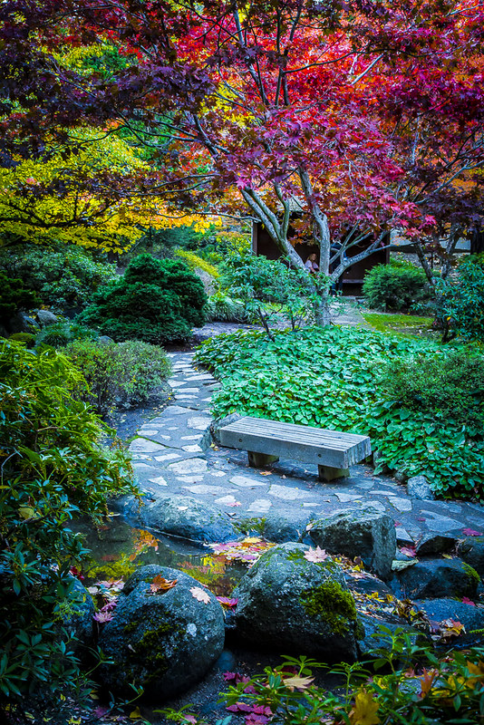 A twisty path through green foliage with a park bench at the Japanese Garden in Lithia Park. There's a bright red tree in the background.