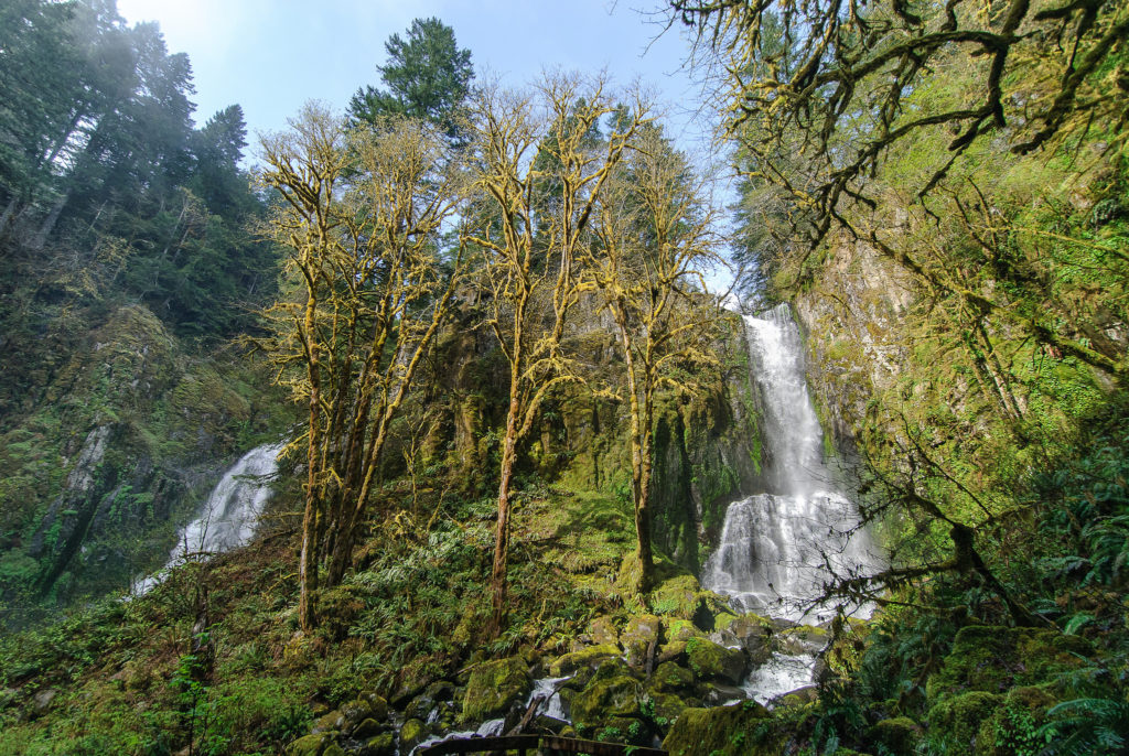 Kentucky Falls in Oregon