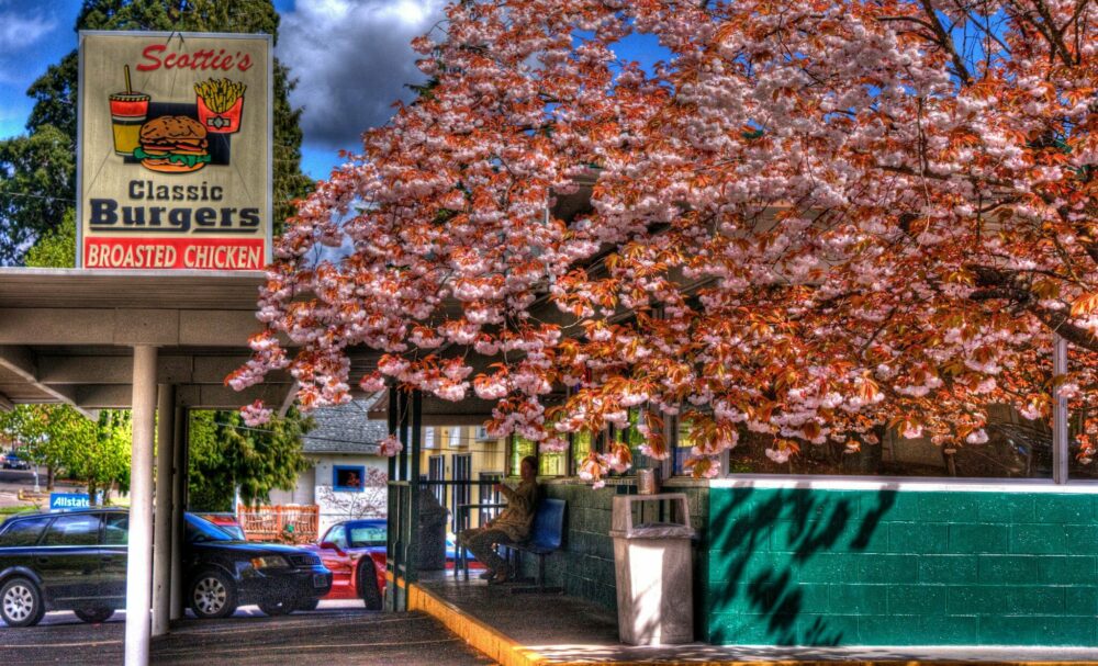 scotties drive in, forest grove, oregon