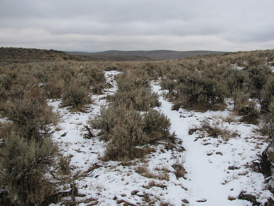 wagon ruts, eastern oregon, meek cutoff