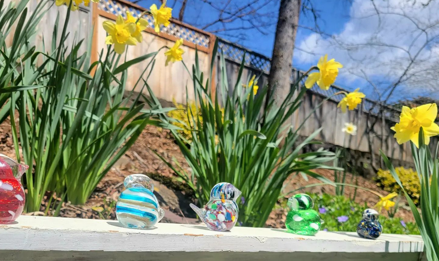 Find Your Wings and Join the Glass Bird Treasure Hunt in Salem