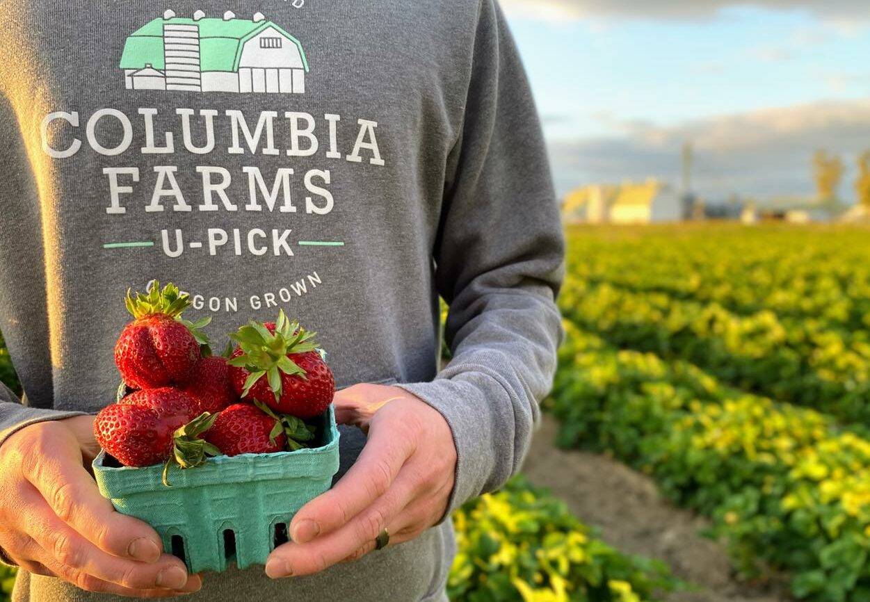 187193511_4079671568779710_2453246225640339867_n Columbia Farms U-Pick, sauvie island, portland, oregon, berries, summer, farm, family fun, day trips