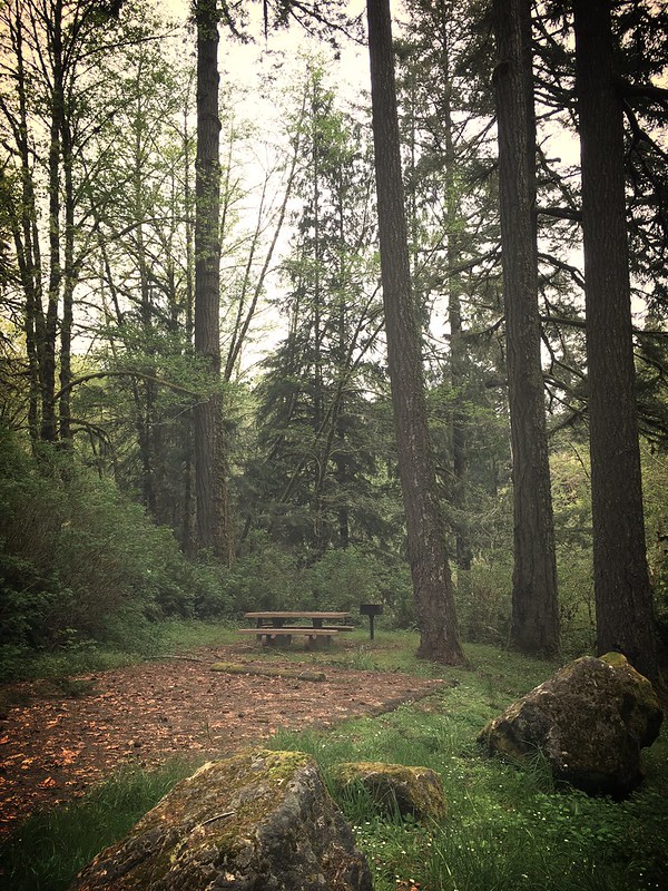 smith river, oregon, swimming holes, recreation, best camping sites, free BLM campsite