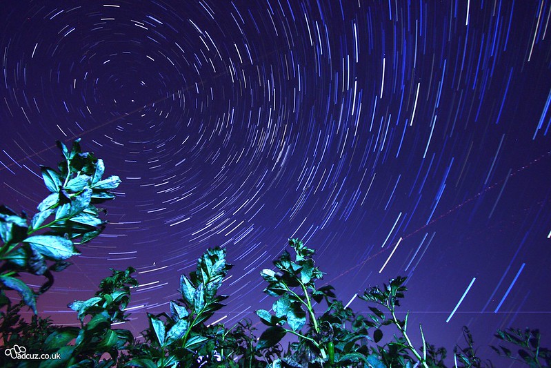 perseid meteor shower, oregon, where to watch, 2023, The Perseids