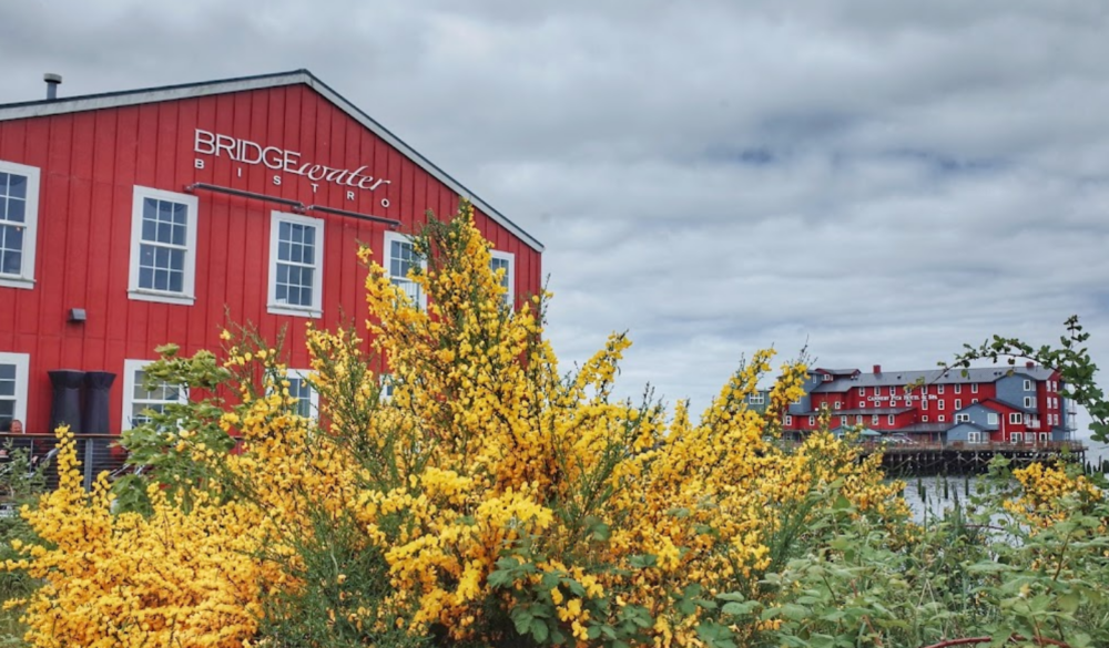 bridgewater bistro, astoria, oregon