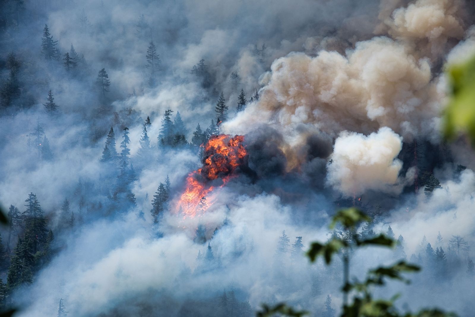 gorge fire 3