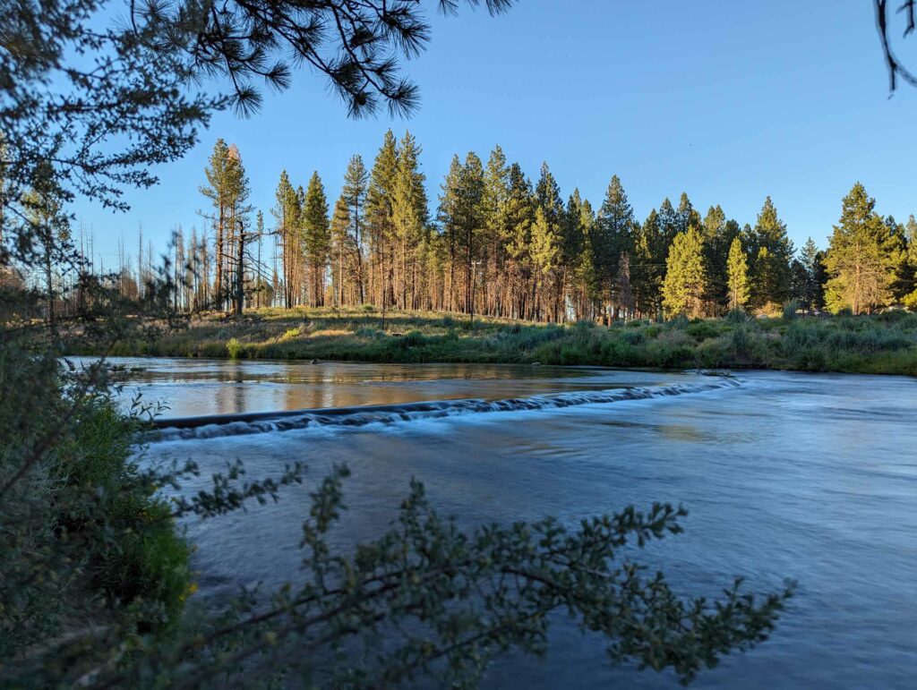Spring Creek at Collier Memorial State Park.