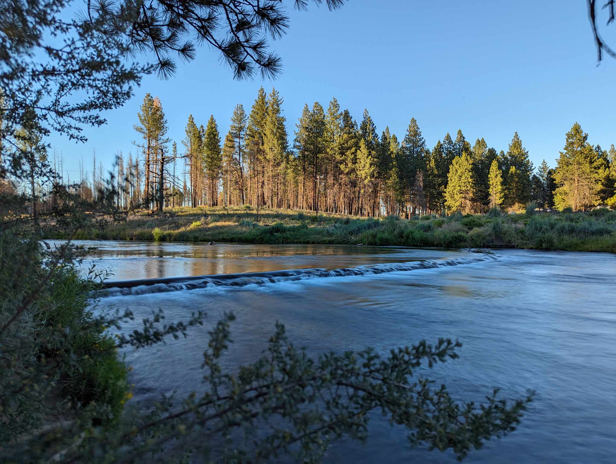 Experience Oregon’s Logging History at the Collier Memorial State Park and Logging Museum