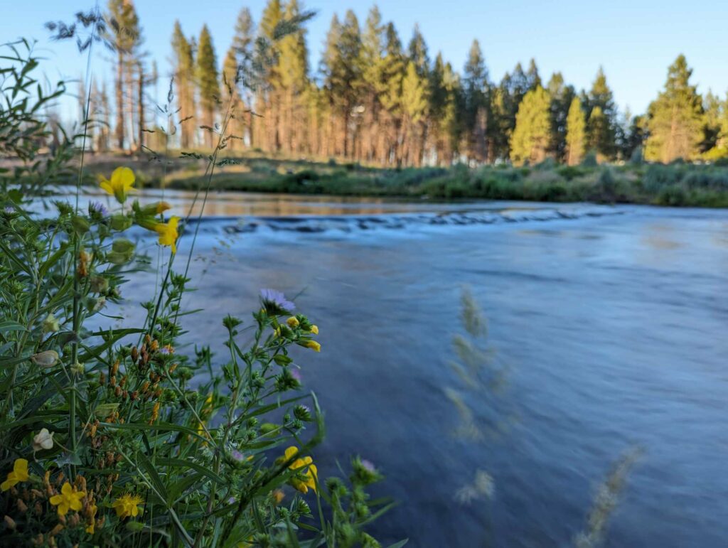 Spring Creek.