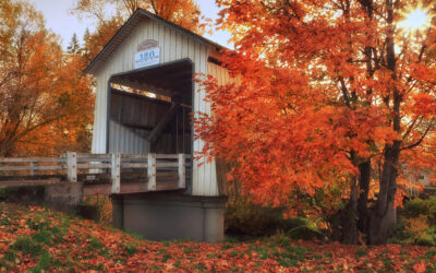 The 15 Absolute Best Places To See Oregon’s Gorgeous Fall Colors in 2026