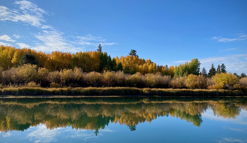 Autumn near Dillon Falls. Some of the trees are turning yellow. It's a wide open area with lots of blue sky.