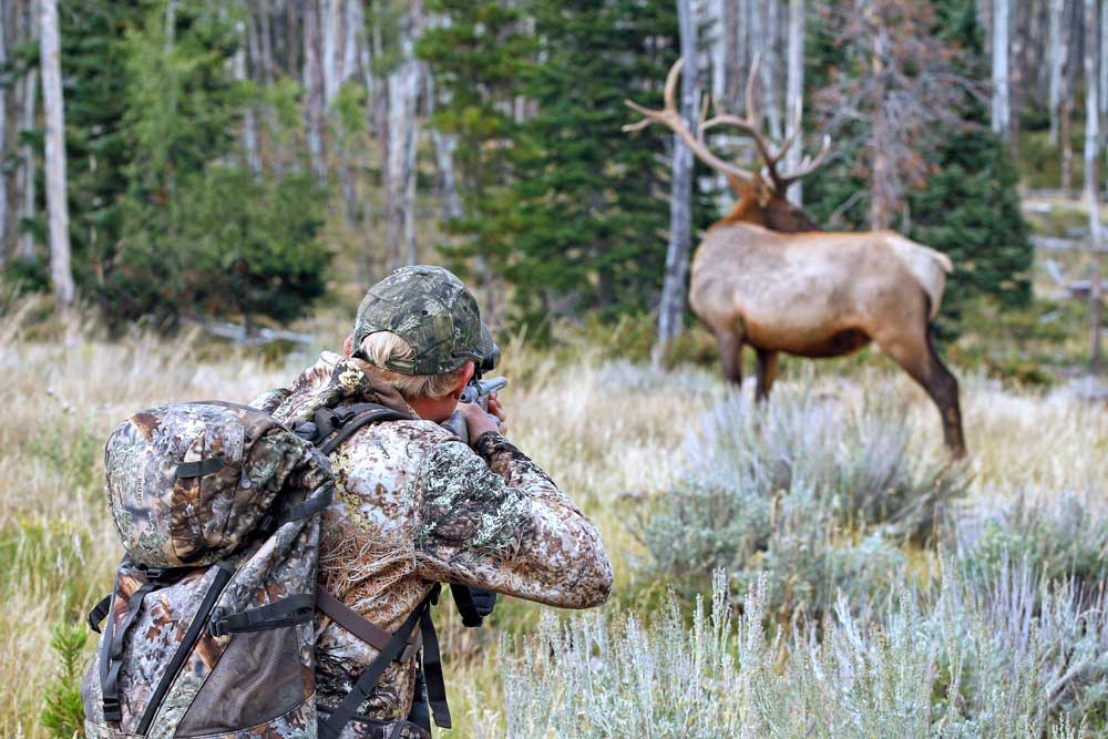 Poachers in Oregon Now Face Jail During Elk Season