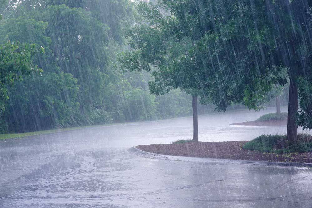 oregon rain