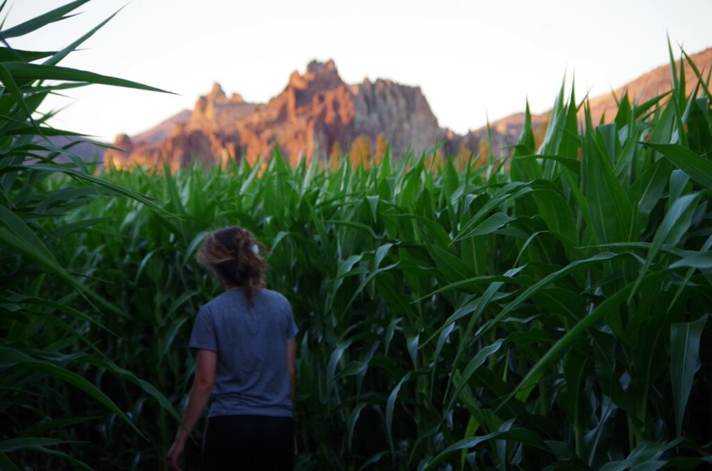 Smith Rock Ranch, Terrebonne Oregon, Family Fun, Central Oregon, Bend, Redmond, Things To Do, Pumpkin Patch, Hay Rides, Pumpkin Cannon, Giant Corn Maze, East of the Cascades, Dog Friendly Adventures, Good Food, Mini Golf, Best of Oregon, Fall Activities, Halloween