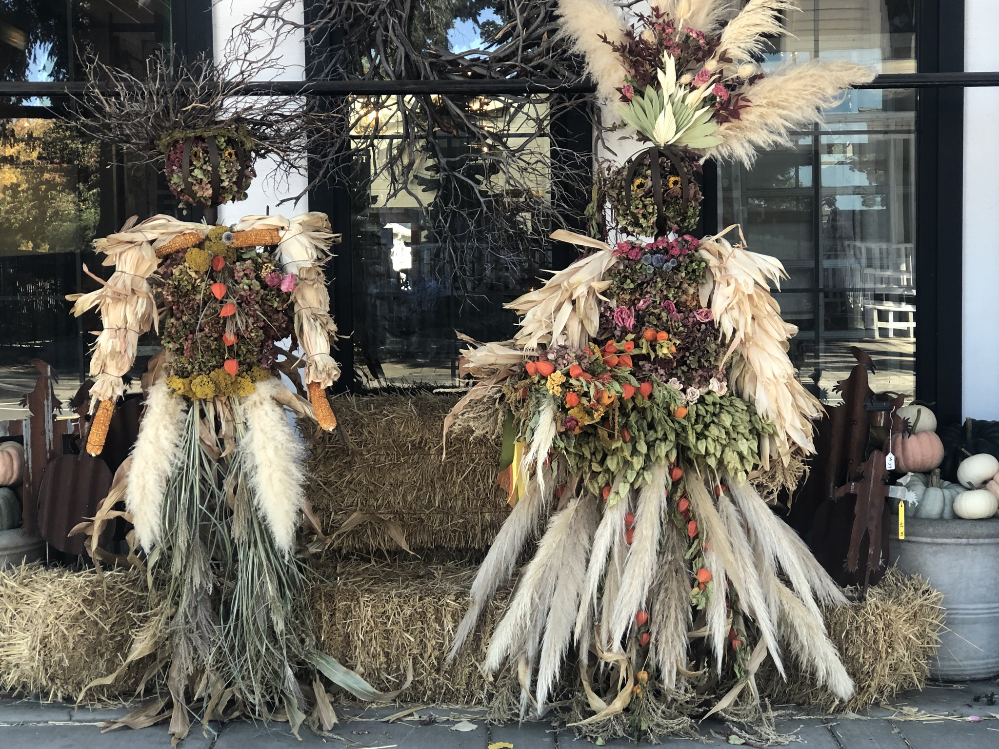 Fire Pits, Smores, Bazaar And More At The Coburg Scarecrow Festival