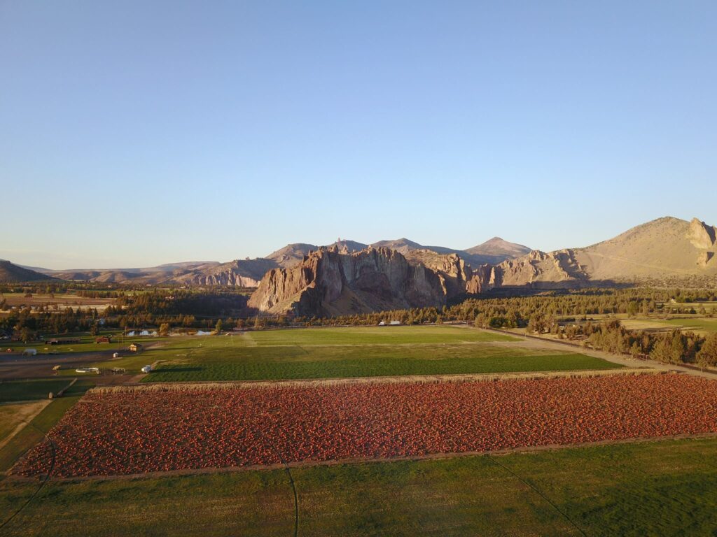 Smith Rock Ranch, Terrebonne Oregon, Family Fun, Central Oregon, Bend, Redmond, Things To Do, Pumpkin Patch, Hay Rides, Pumpkin Cannon, Giant Corn Maze, East of the Cascades, Dog Friendly Adventures, Good Food, Mini Golf, Best of Oregon